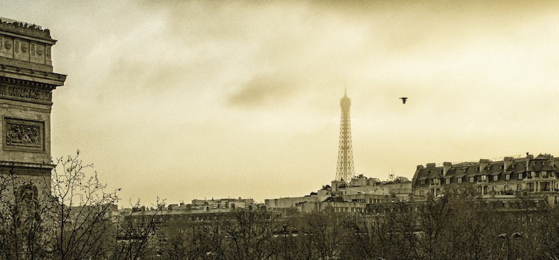 What a Bird Saw, Eiffel Tower and Arc de Triomphe, 2007