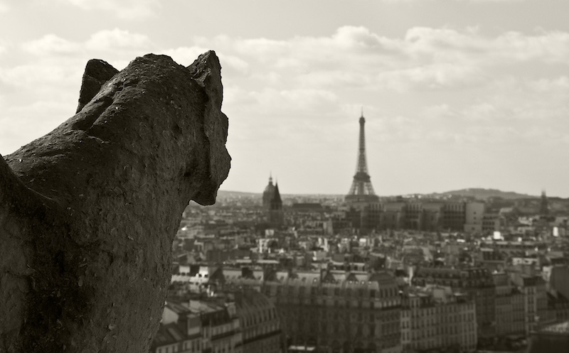 What a Bird Saw, Eiffel Tower and Arc de Triomphe, 2007