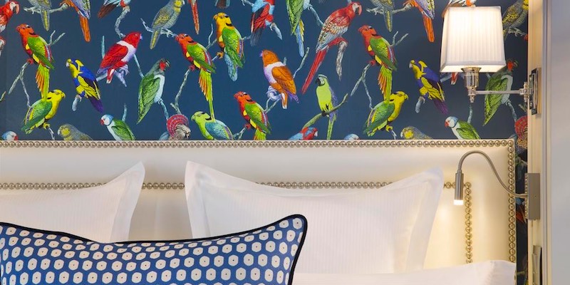 A lovely room featuring wallpaper with parrots at Hotel Monge
