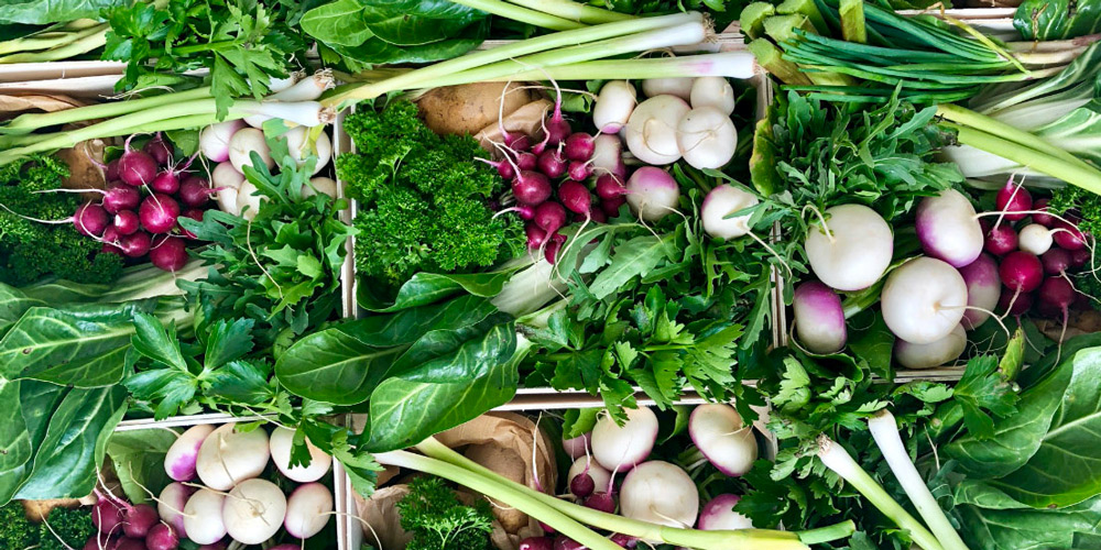 Vegetables from Chef Passard's garden, photo Arpège