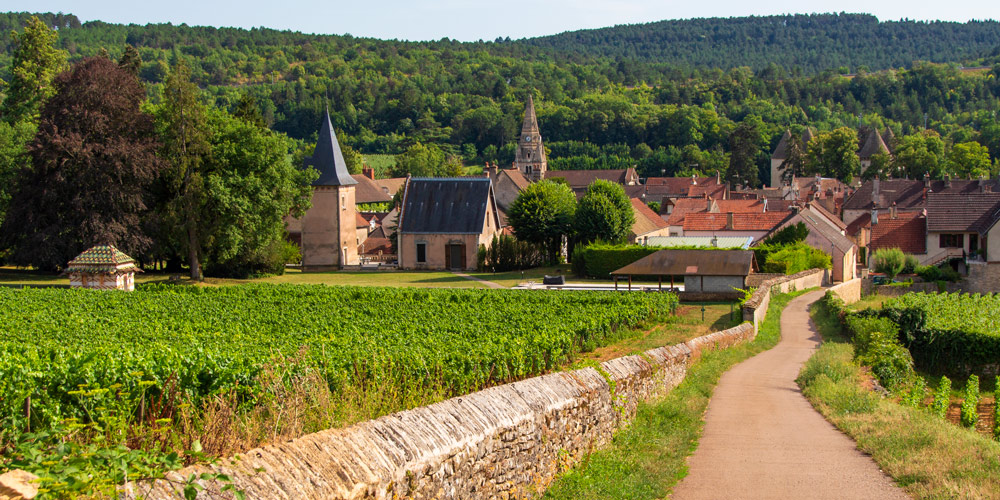 Savigny-les-Beaunes in Burgundy