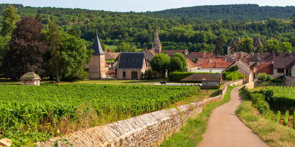 A village in Burgundy surrounded by vines, photo by Mark Craft