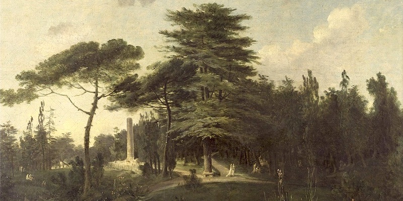 The Cedar of Lebanon at the Jardin des Plantes in an early painting.