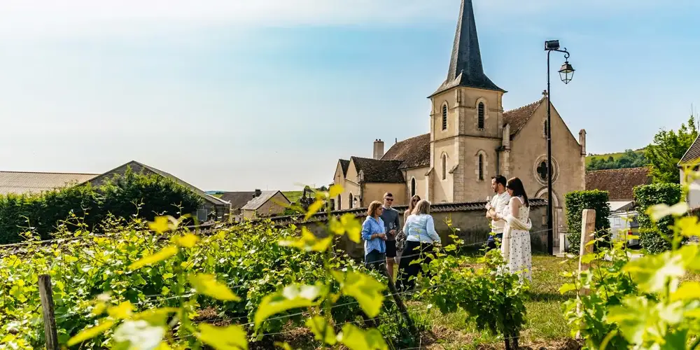 In the vineyards of Sancerre on a private wine tasting tour from Paris
