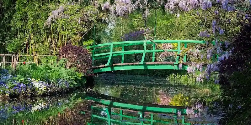 Monet's garden at Giverny with wisterias and Japanese bridge