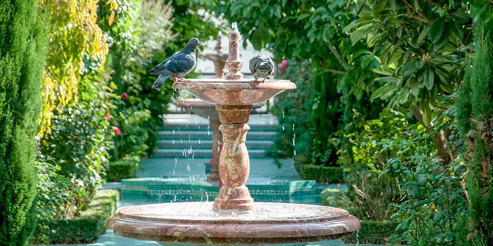 Fountain in the tranquil garden, photo Grande Mosquée de Paris by Omar Boulkroum
