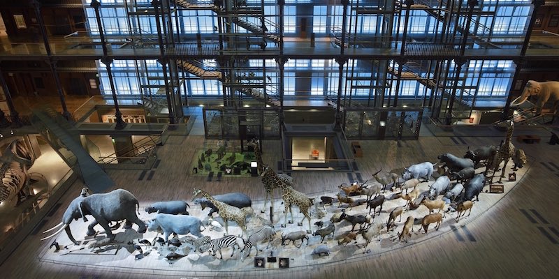 Family Museums in Paris