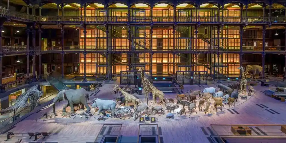 Grande Gallery of Evolution