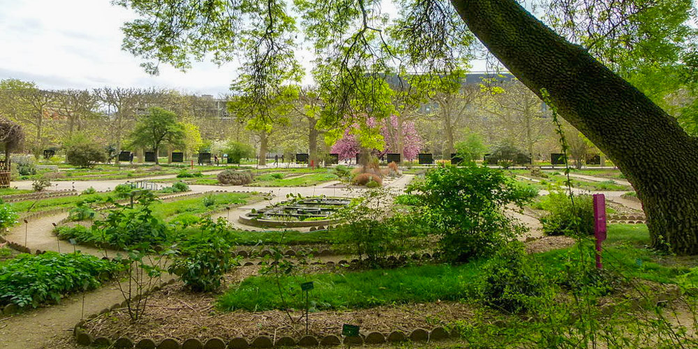 Jardin des Plantes 