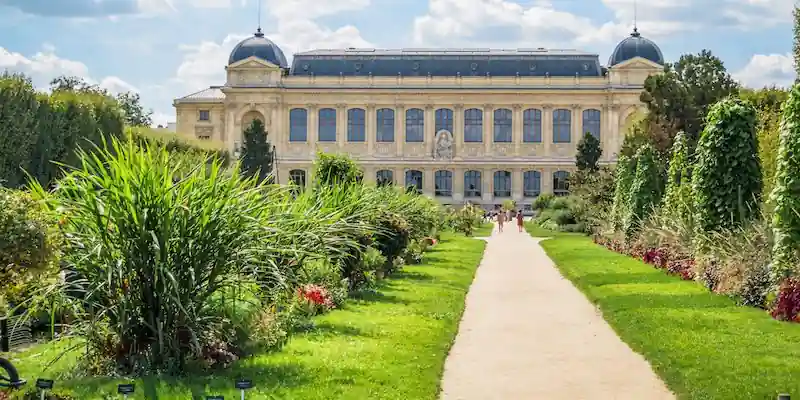 Jardin des Plantes and the Natural History Museum