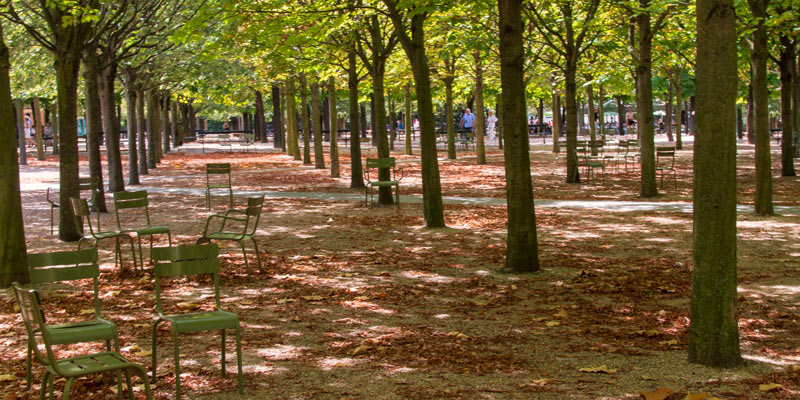 Jardin du Luxembourg, photo by Mark Craft
