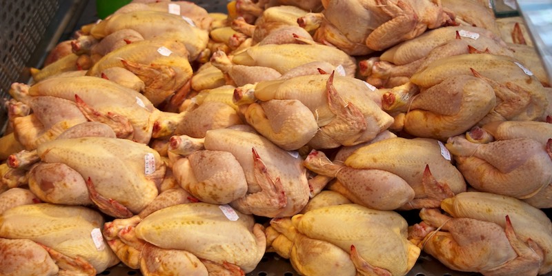 Poultry in the market