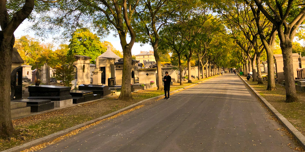 A man strolls along a tree-lined lane at Montparnasse Cemetery