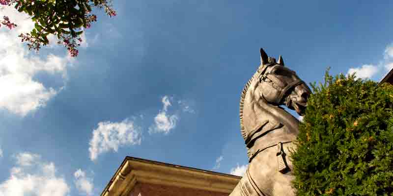 Musee Bourdelle, Horse sculpture, photo by Mark Craft