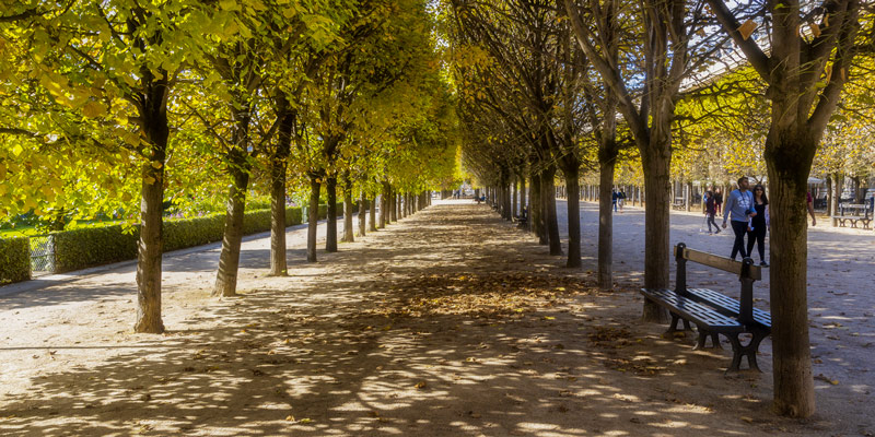 Palais Royal