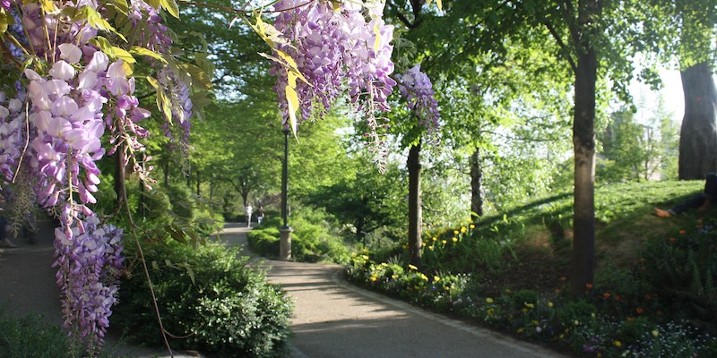 Pathway at Parc de Belleville, photo by Parissharing