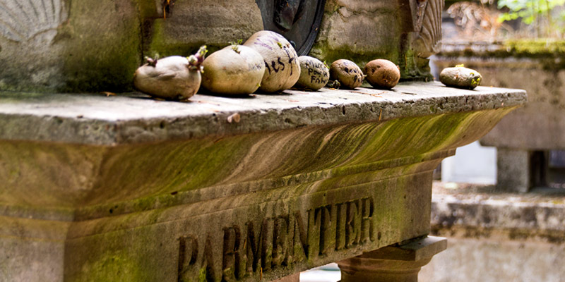 Potatoes left by visitors on the gravestone of Antoine-Augustin Parmentier, photo by Mark Craft