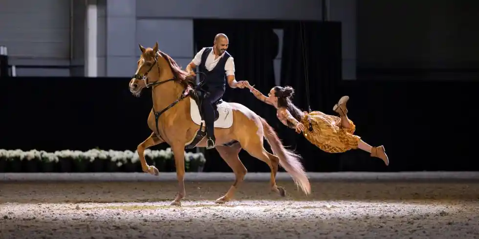 Equestrian performance at the Salon du Cheval de Paris