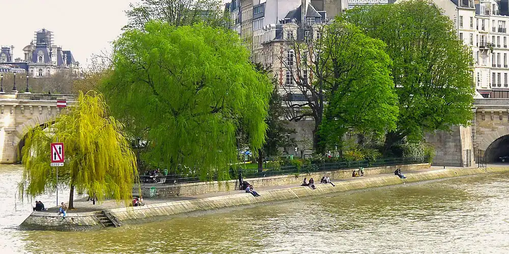 Looking across the Seine at Square du Vert-Galant on Ile de la Cite
