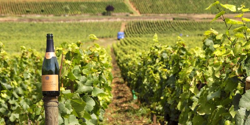 Private Day Trip to Burgundy from Paris
