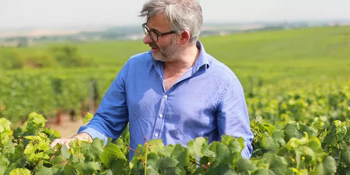In the vineyards of Champagne a guide explains the making of the bubbly