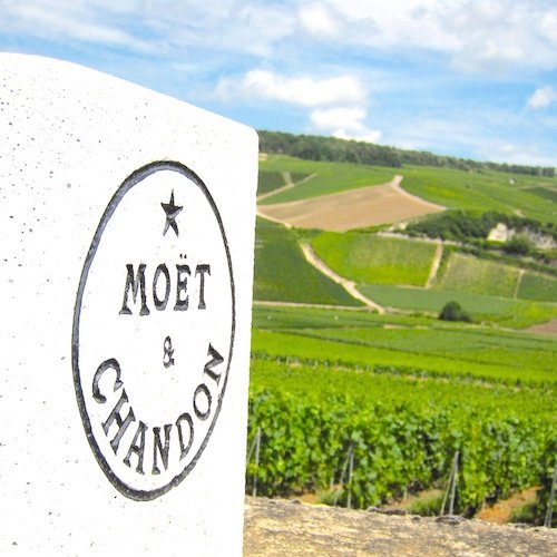 Learn about VIP Private Day Trips to Champagne