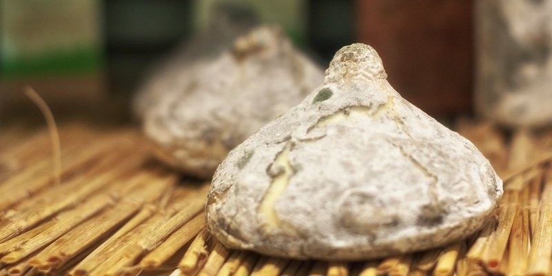 Cheese Shop Of Belleville, photo by Mark Craft