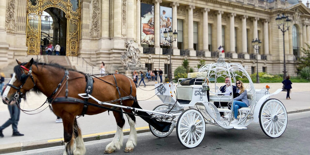 Horse and Carriage Ride Through Paris