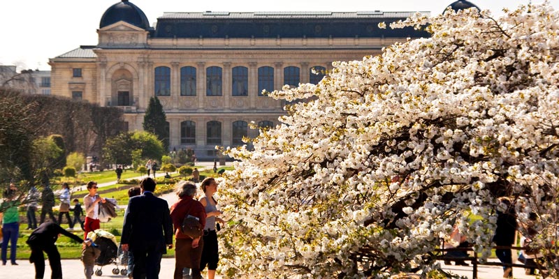 Jardin des Plantes