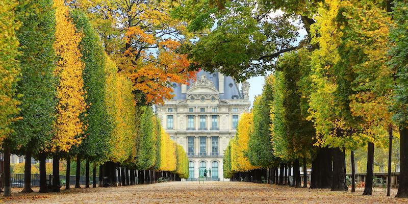 Autumn in Paris