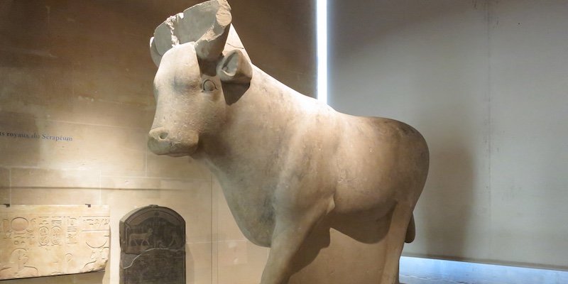 Apis Bull