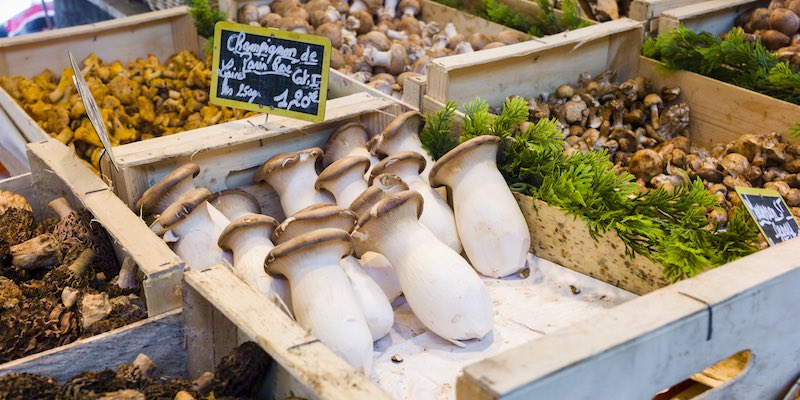 Mushrooms in Market