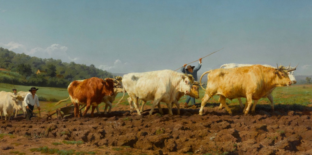Rosa Bonheur