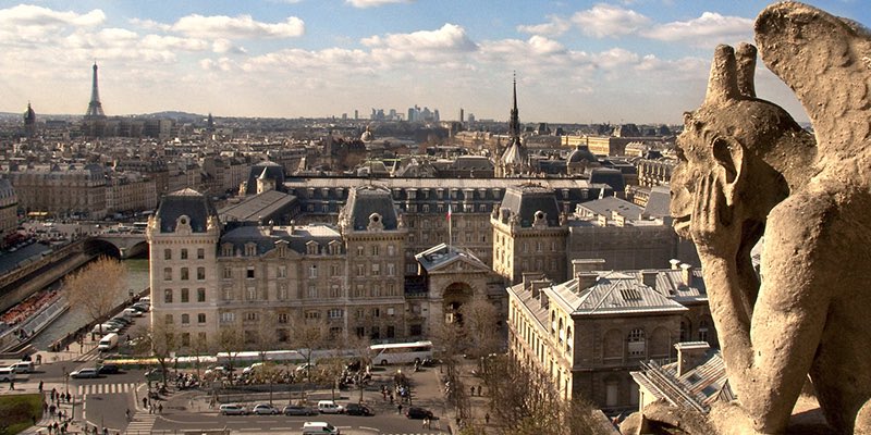 The View from Notre Dame, photo by Mark Craft