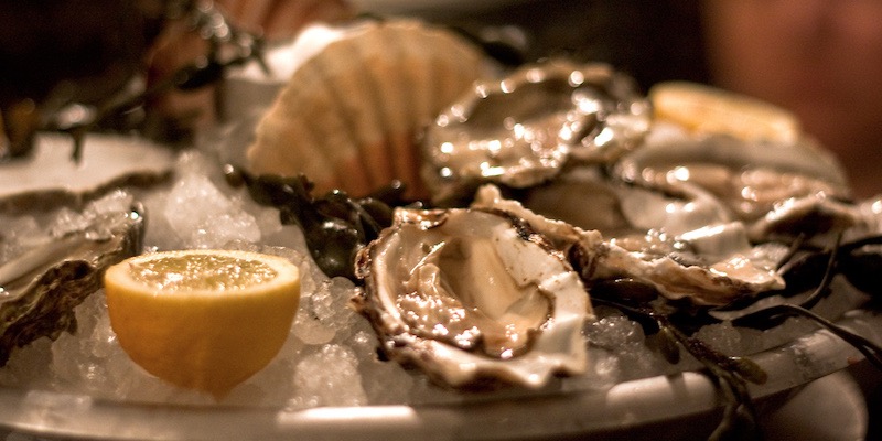 Oysters