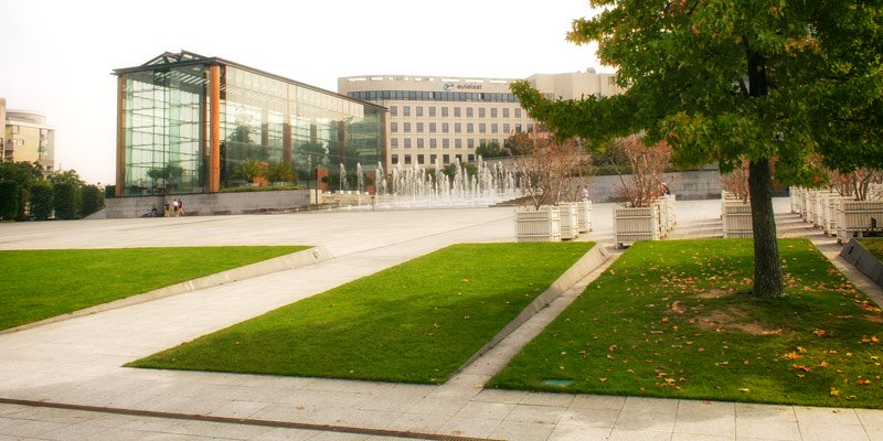 Parc Andre Citroen, photo by Mark Craft