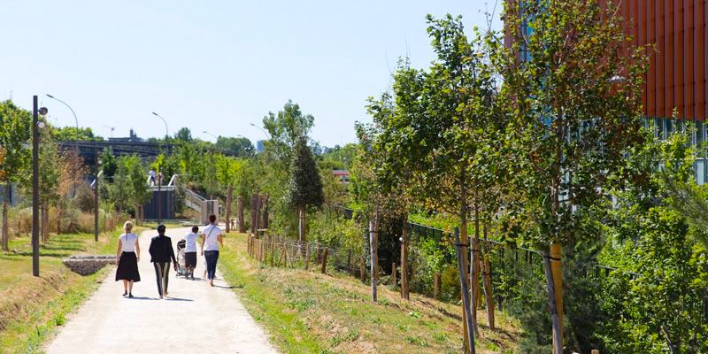 Forêt Linéaire Nord