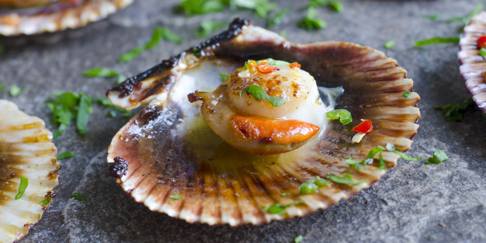 Coquilles Saint-Jacques, Marmiton Mag