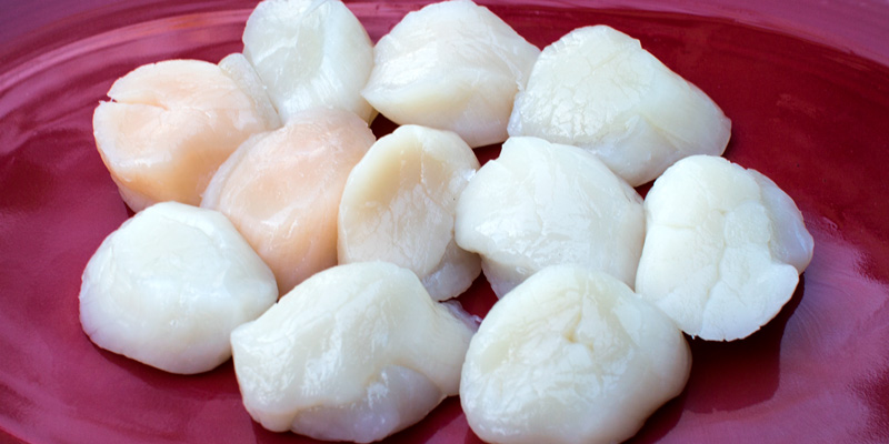 Scallop Recipe