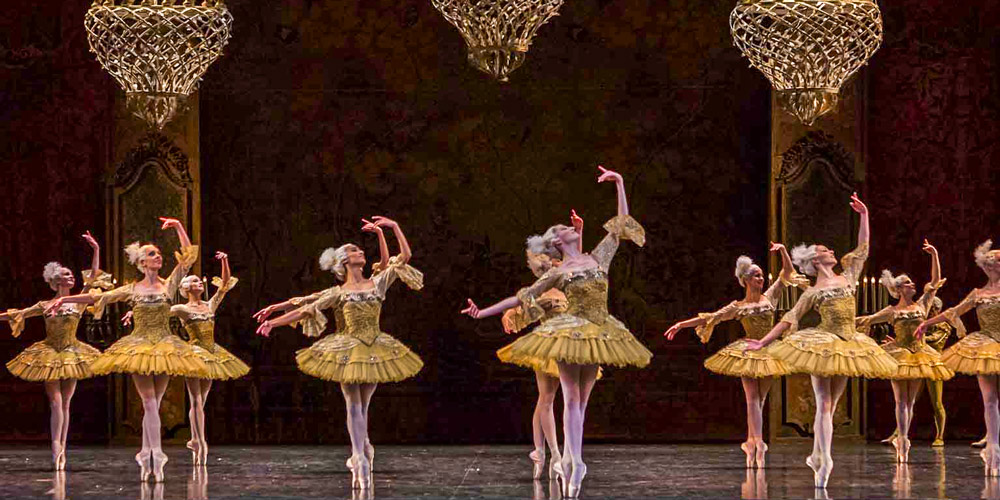 Swan Lake at Opera Bastille